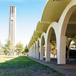 Bell Tower and Arches