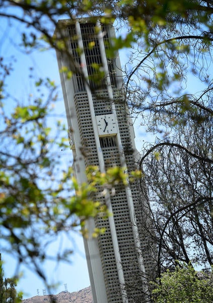 Bell Tower framed by trees