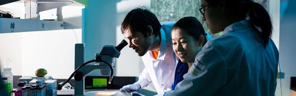 students in the lab