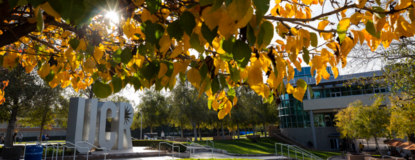 ucr sculpture+leaves